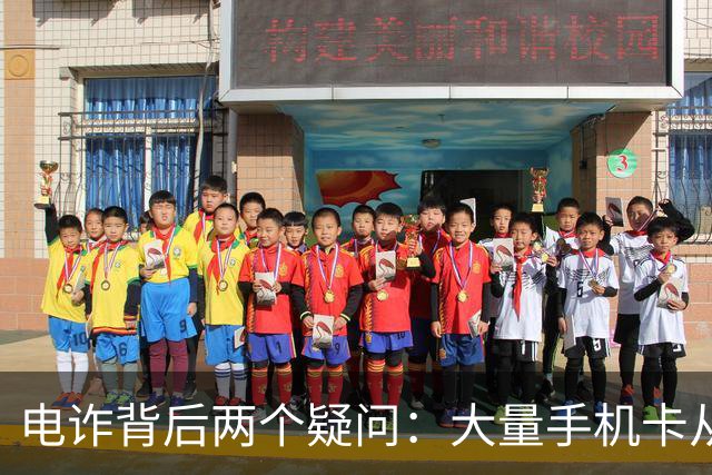 电诈背后两个疑问：大量手机卡从哪来？为何骗子能大额转账？