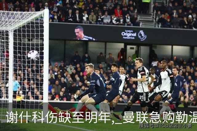 谢什科伤缺至明年, 曼联急购勒温补锋线