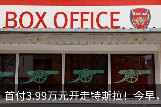 首付3.99万元开走特斯拉！今早，特斯拉推出全新方案