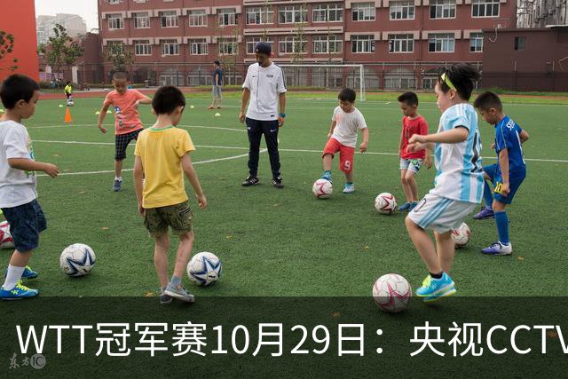 WTT冠军赛10月29日：央视CCTV5+转播国乒！今日中国德比战